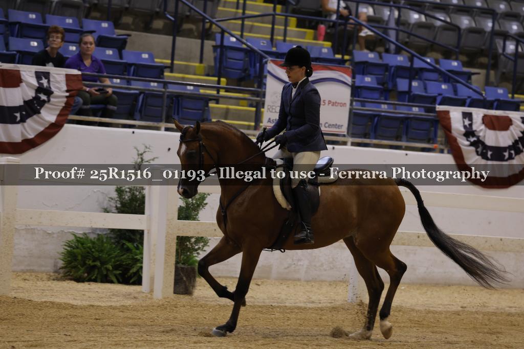 Proof Number 25R1516_01193