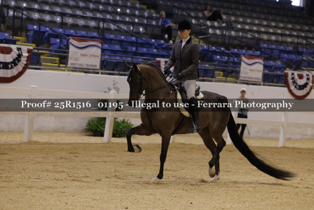 Proof Number 25R1516_01195