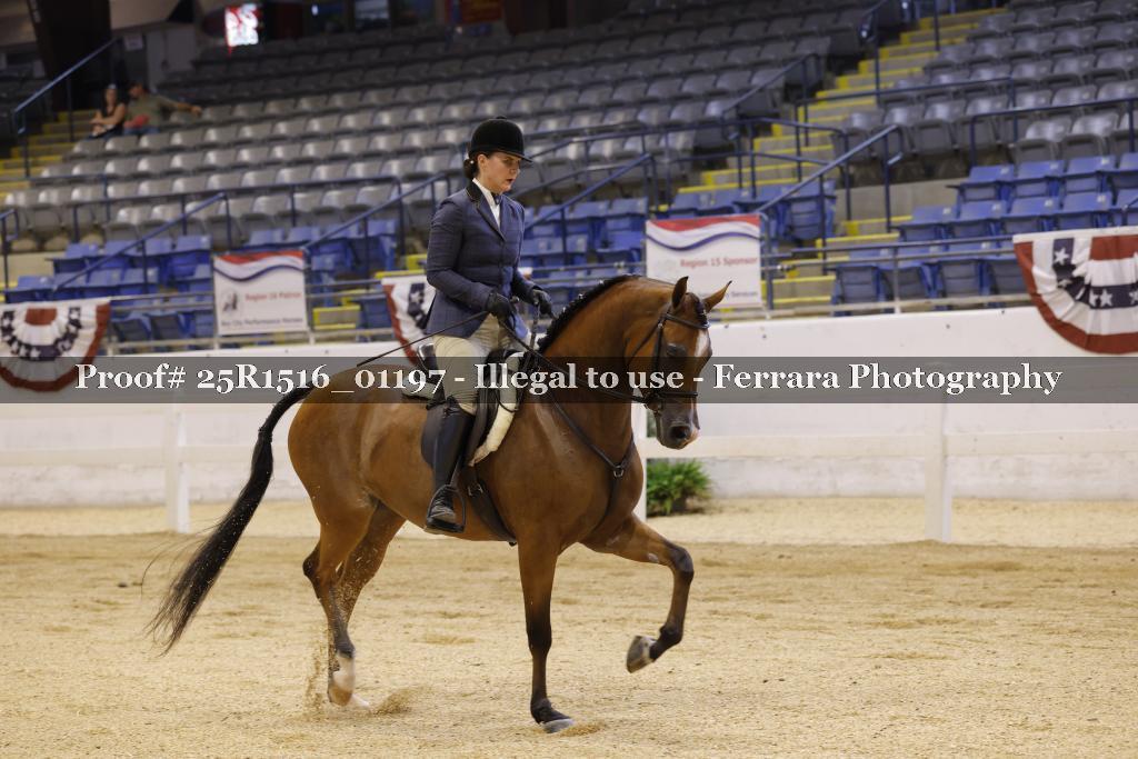 Proof Number 25R1516_01197