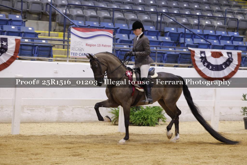 Proof Number 25R1516_01203