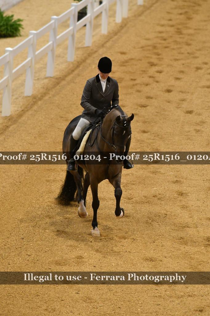 Proof Number 25R1516_01204