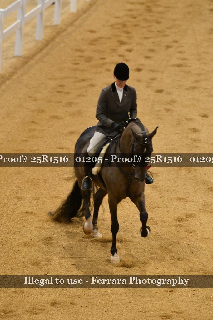 Proof Number 25R1516_01205