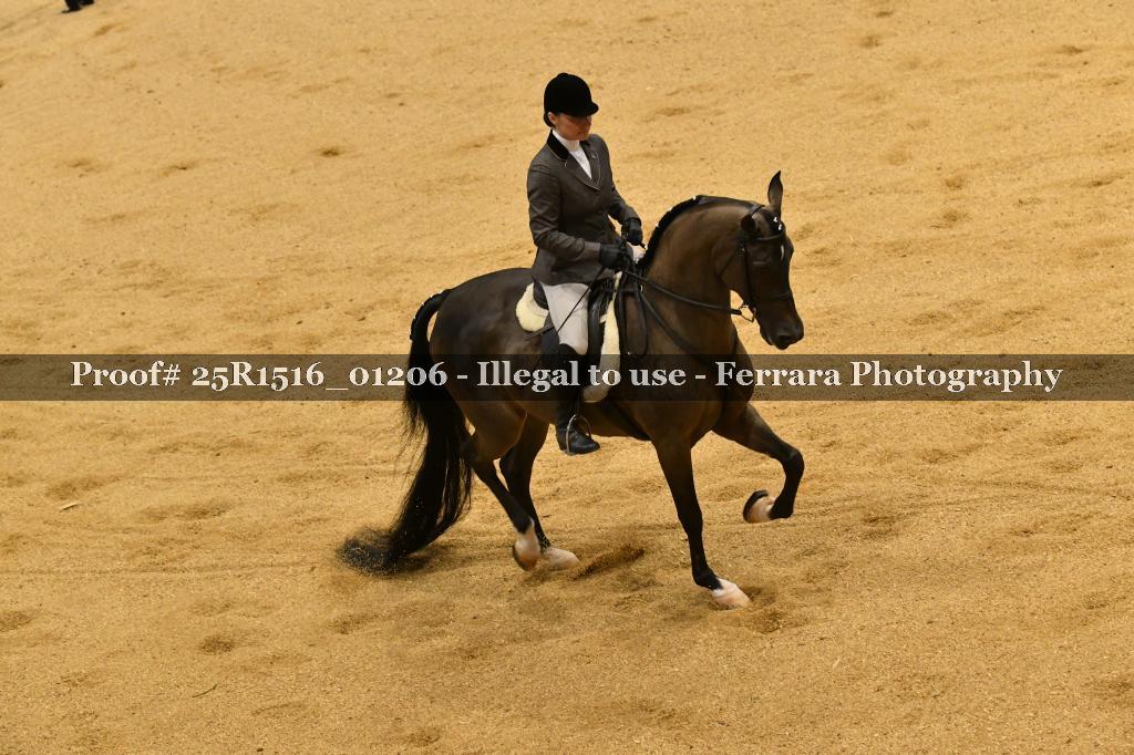 Proof Number 25R1516_01206