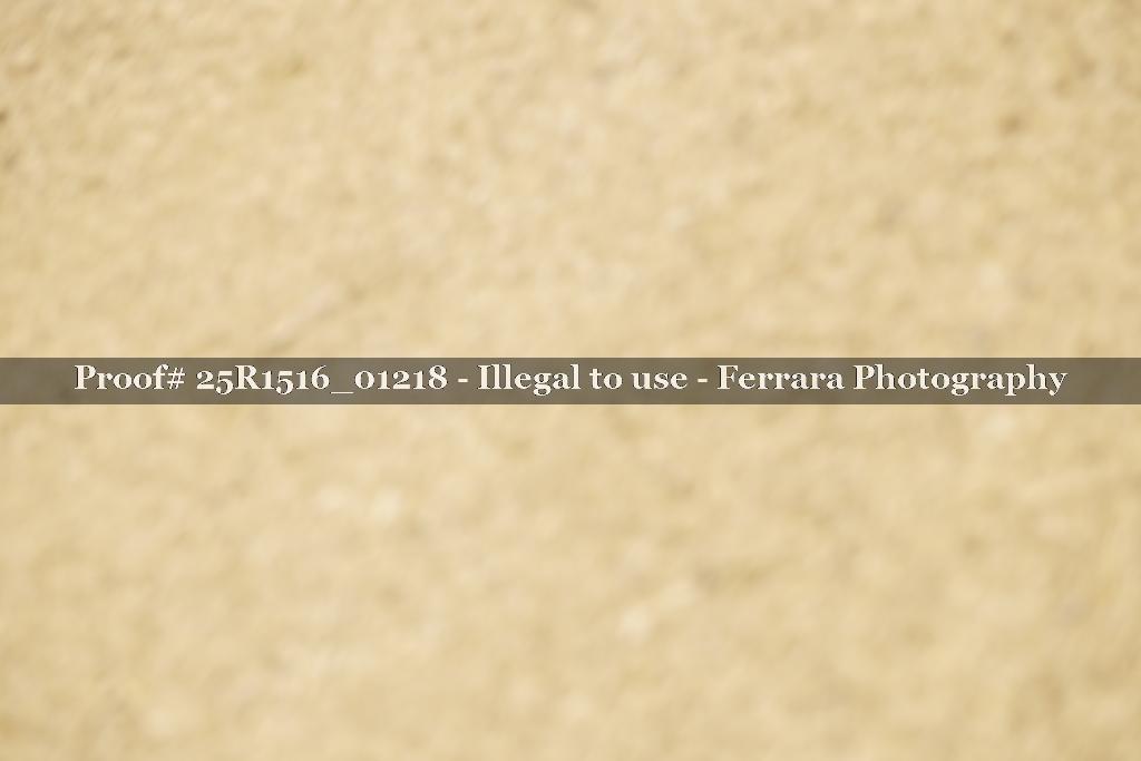 Proof Number 25R1516_01218