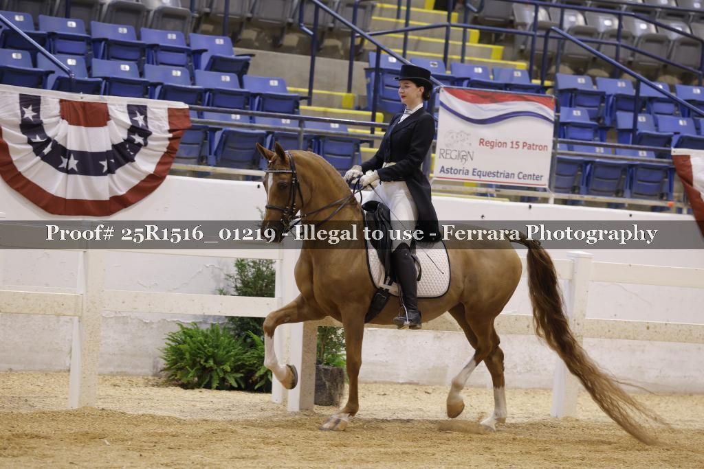 Proof Number 25R1516_01219