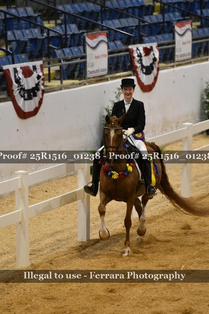 Proof Number 25R1516_01238
