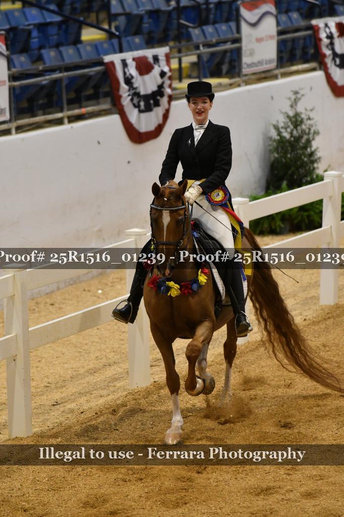 Proof Number 25R1516_01239