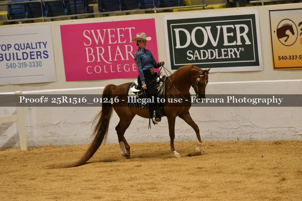 Proof Number 25R1516_01246
