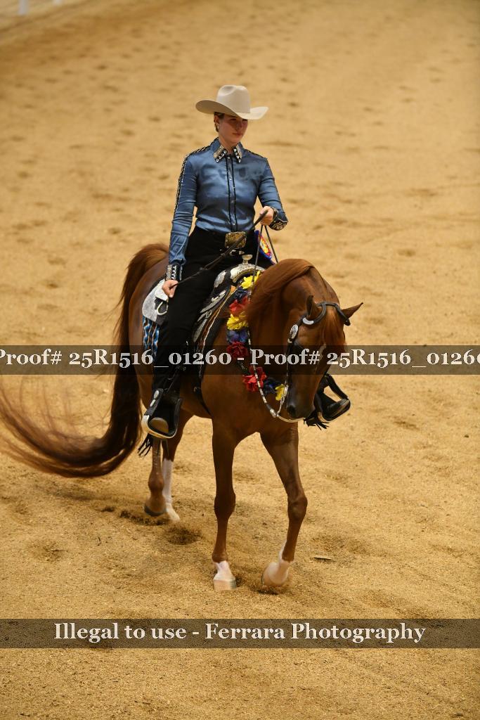 Proof Number 25R1516_01260