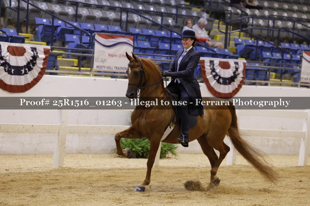 Proof Number 25R1516_01263