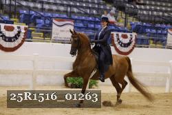25R1516_01263 thumbnail