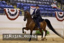 25R1516_01264 thumbnail