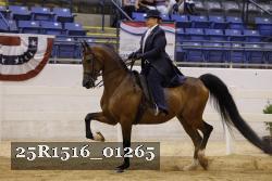 25R1516_01265 thumbnail