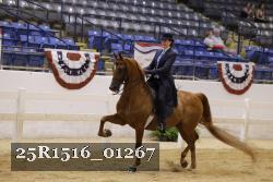 25R1516_01267 thumbnail