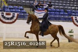 25R1516_01268 thumbnail