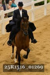 25R1516_01269 thumbnail