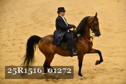 25R1516_01272 thumbnail