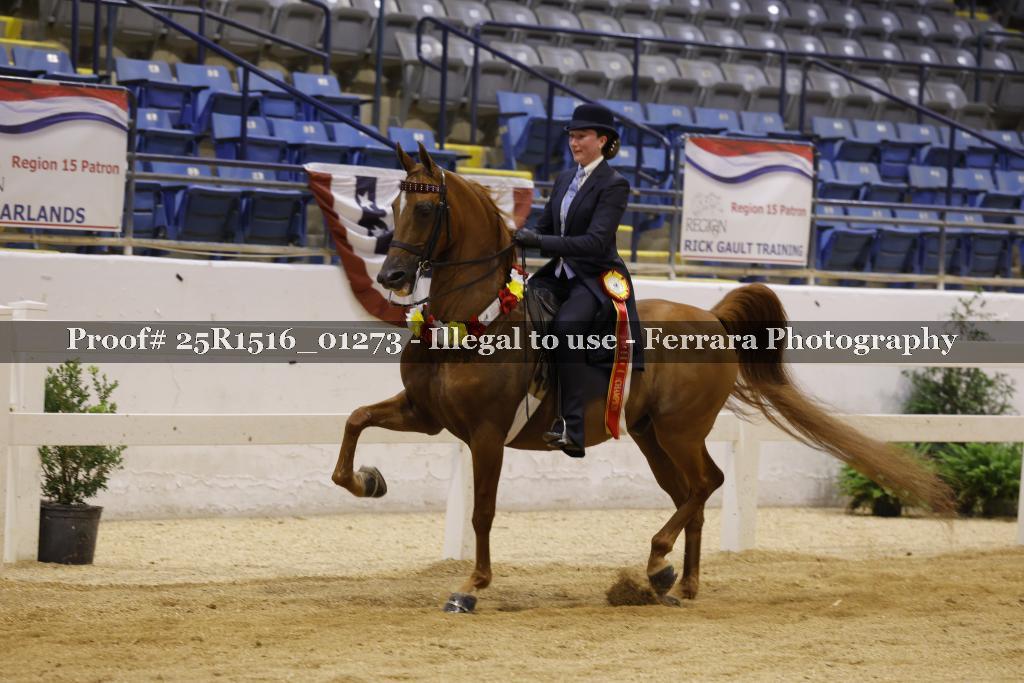 Proof Number 25R1516_01273