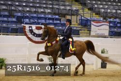 25R1516_01274 thumbnail