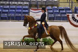 25R1516_01275 thumbnail