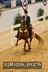 25R1516_01276 thumbnail