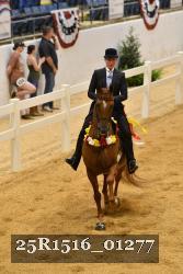 25R1516_01277 thumbnail