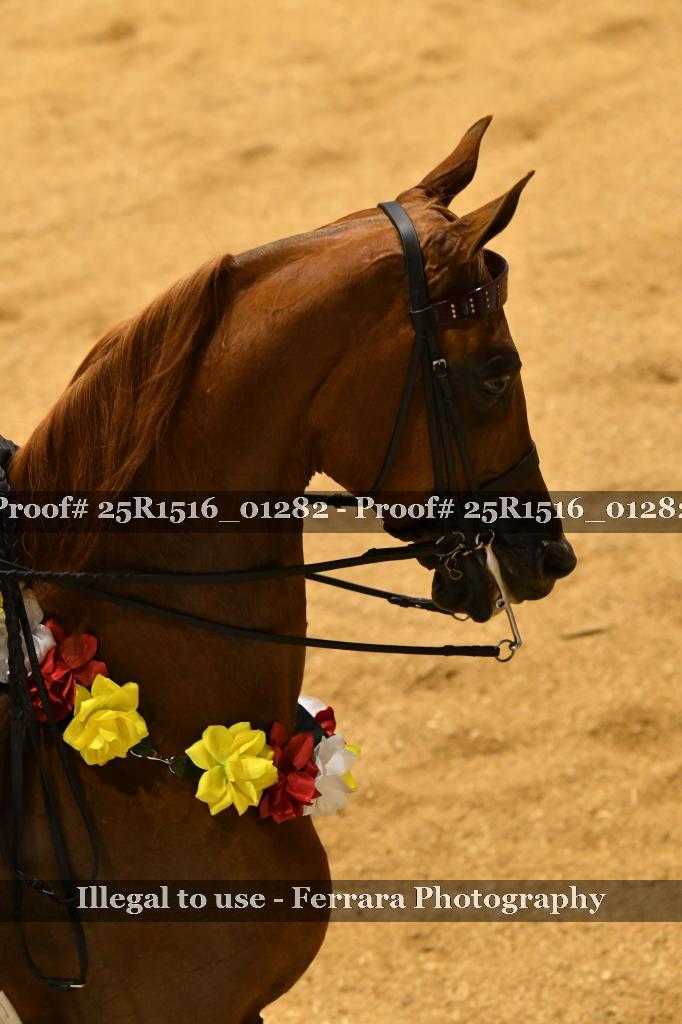 Proof Number 25R1516_01282