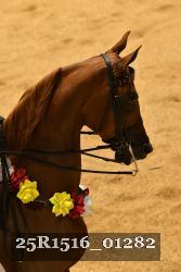 25R1516_01282 thumbnail