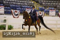 25R1516_01283 thumbnail