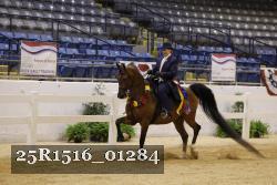 25R1516_01284 thumbnail