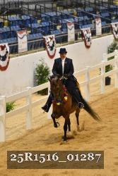 25R1516_01287 thumbnail