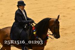 25R1516_01293 thumbnail