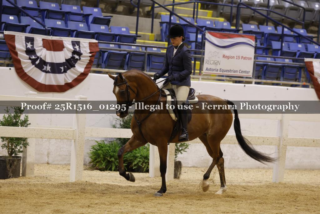 Proof Number 25R1516_01295