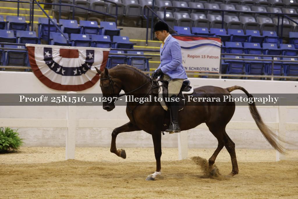 Proof Number 25R1516_01297