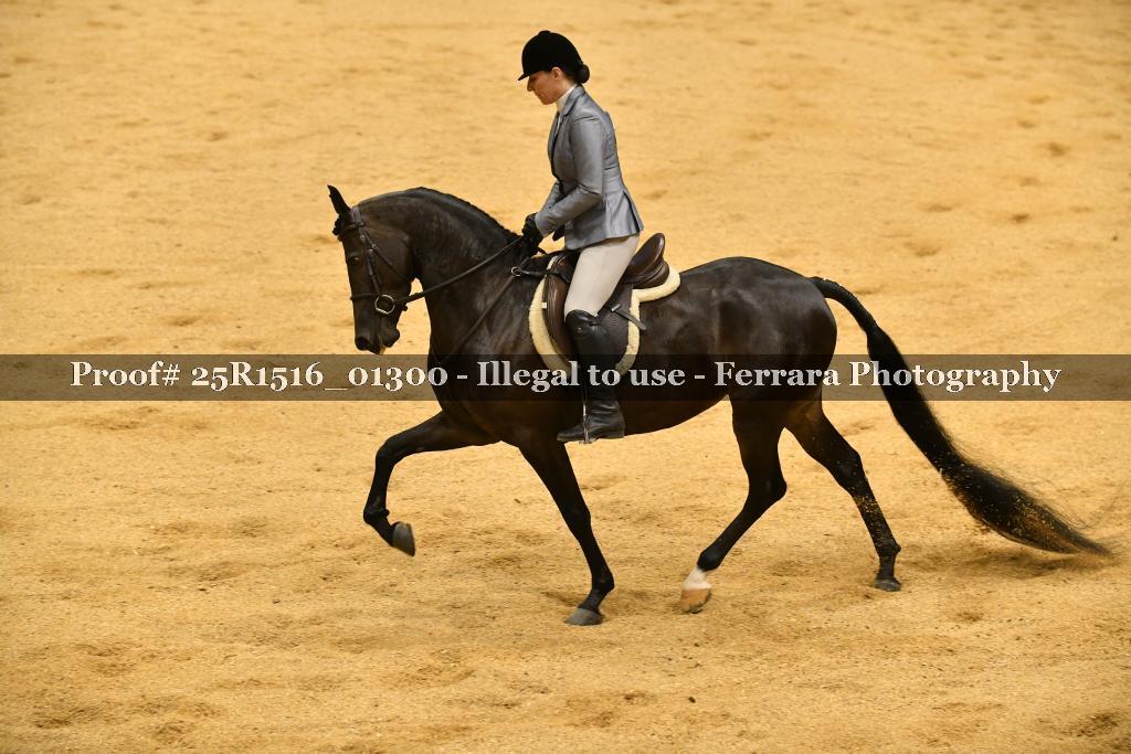 Proof Number 25R1516_01300
