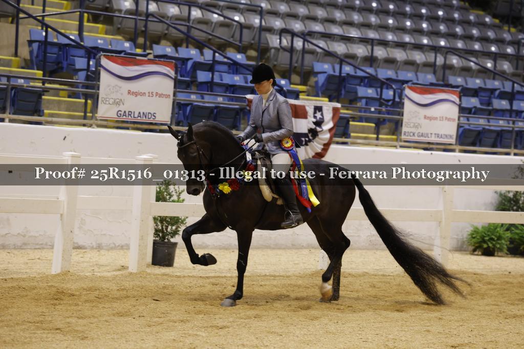 Proof Number 25R1516_01313