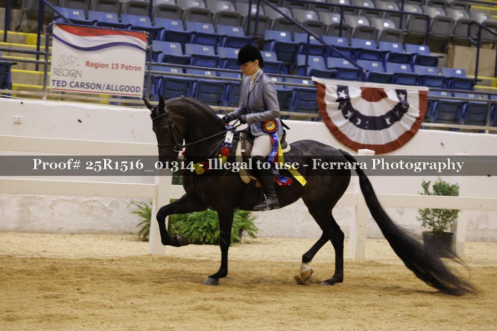 Proof Number 25R1516_01314