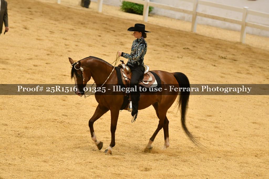 Proof Number 25R1516_01325