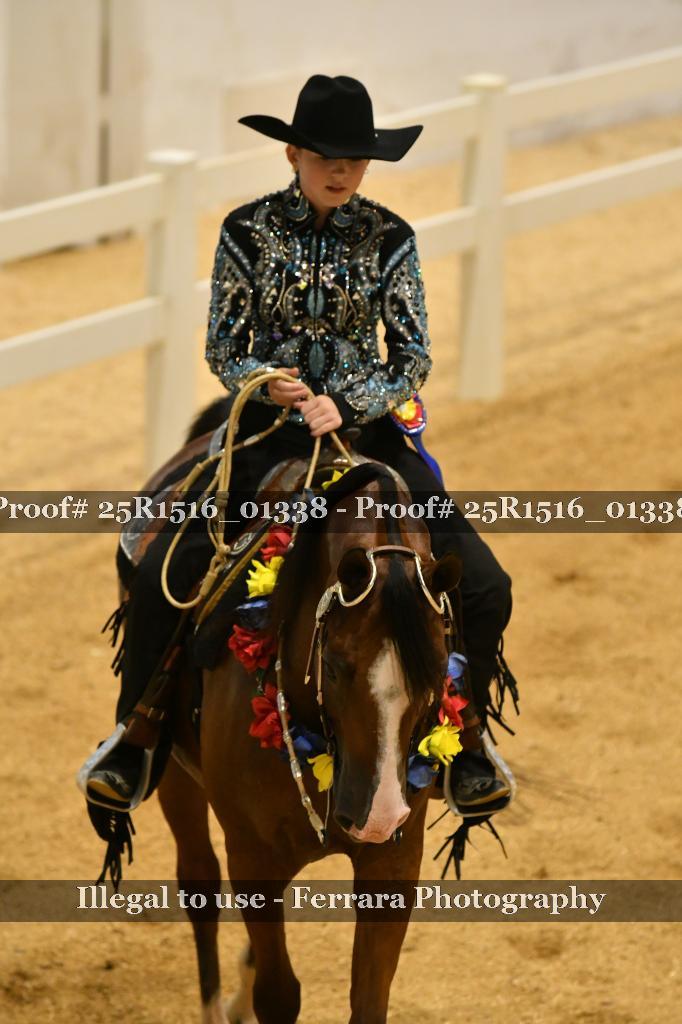 Proof Number 25R1516_01338