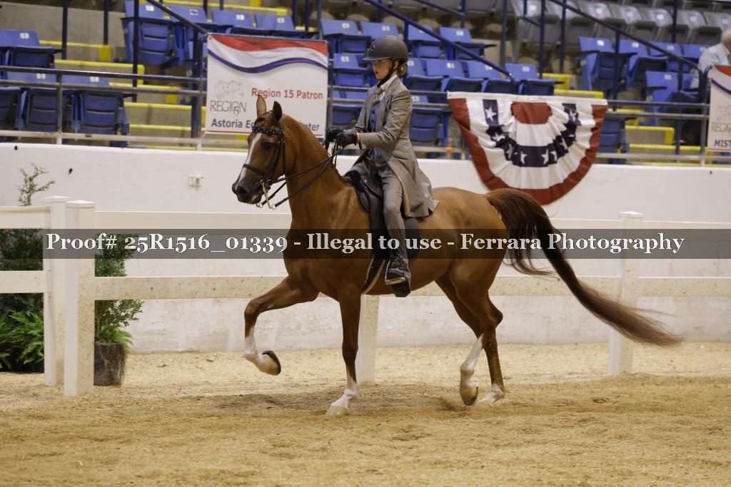 Proof Number 25R1516_01339