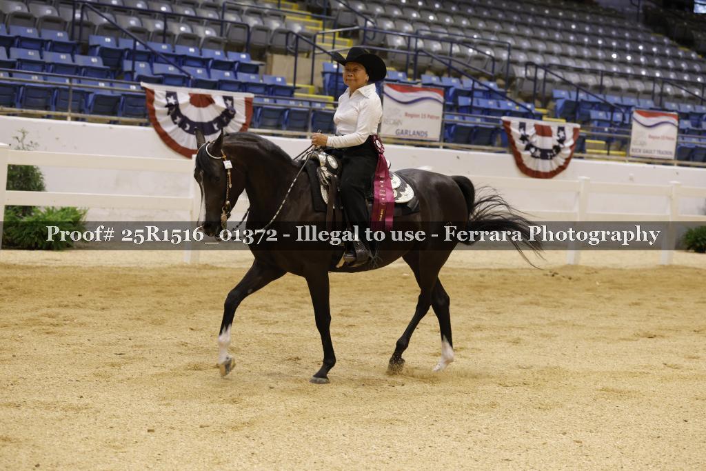 Proof Number 25R1516_01372