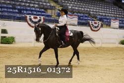 25R1516_01372 thumbnail