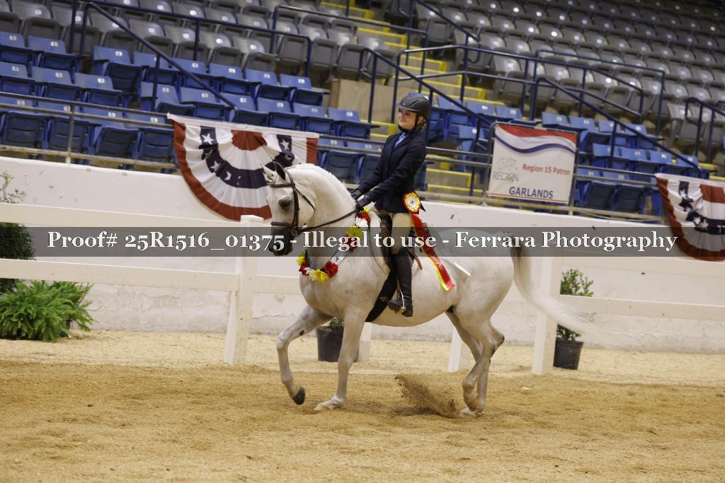 Proof Number 25R1516_01375