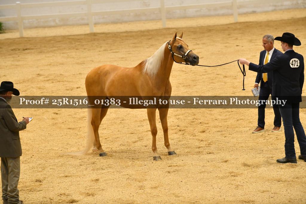Proof Number 25R1516_01383