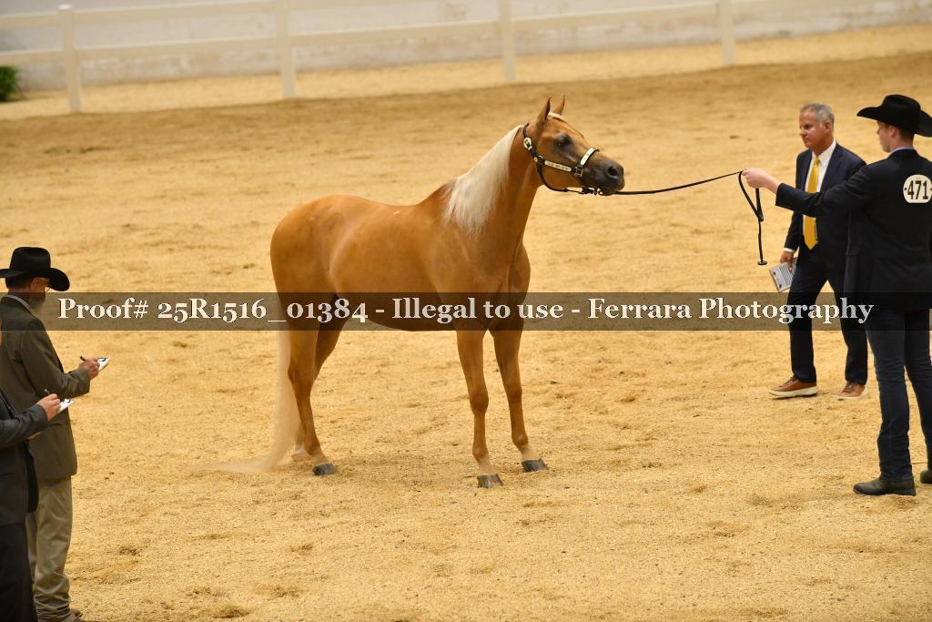 Proof Number 25R1516_01384