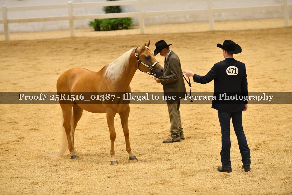 Proof Number 25R1516_01387
