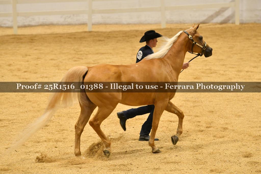 Proof Number 25R1516_01388