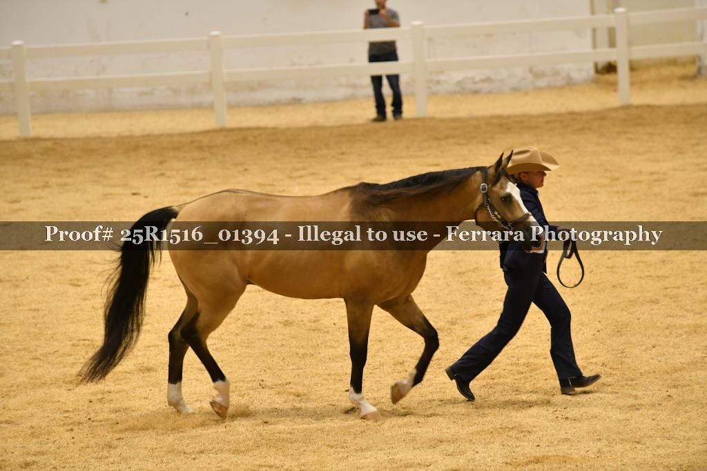 Proof Number 25R1516_01394