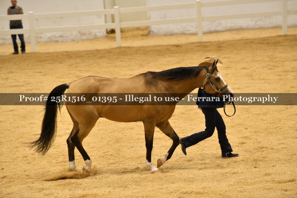 Proof Number 25R1516_01395