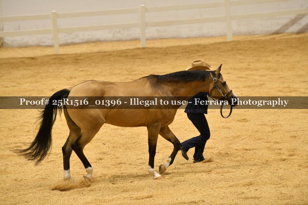 Proof Number 25R1516_01396